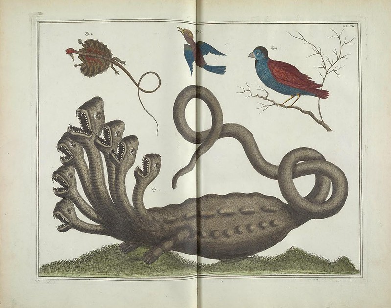 Historic drawing of a lizard monster with six heads underneath two birds and a flying lizard.