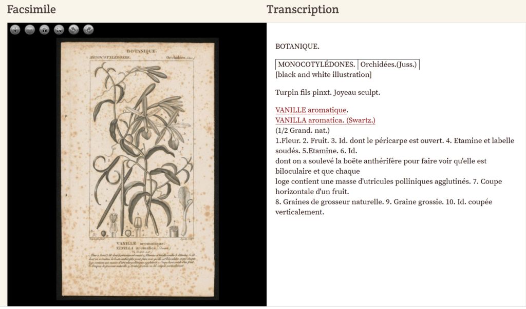 The top banner says transcription. Underneath this banner is an image of a plant on the left with writing beneath it. On the right hand side is an example of transcribed text from the image. 