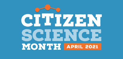 Power in Numbers: Getting Engaged with Citizen Science